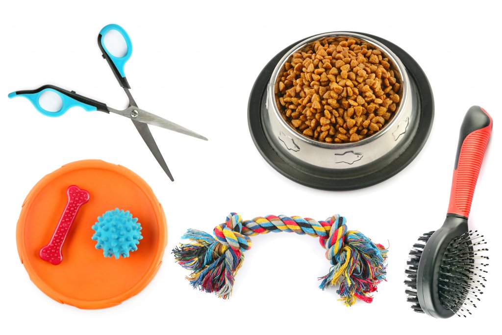 Dog grooming tools laid out diagonally alongside a red ball and dog food in a bowl.