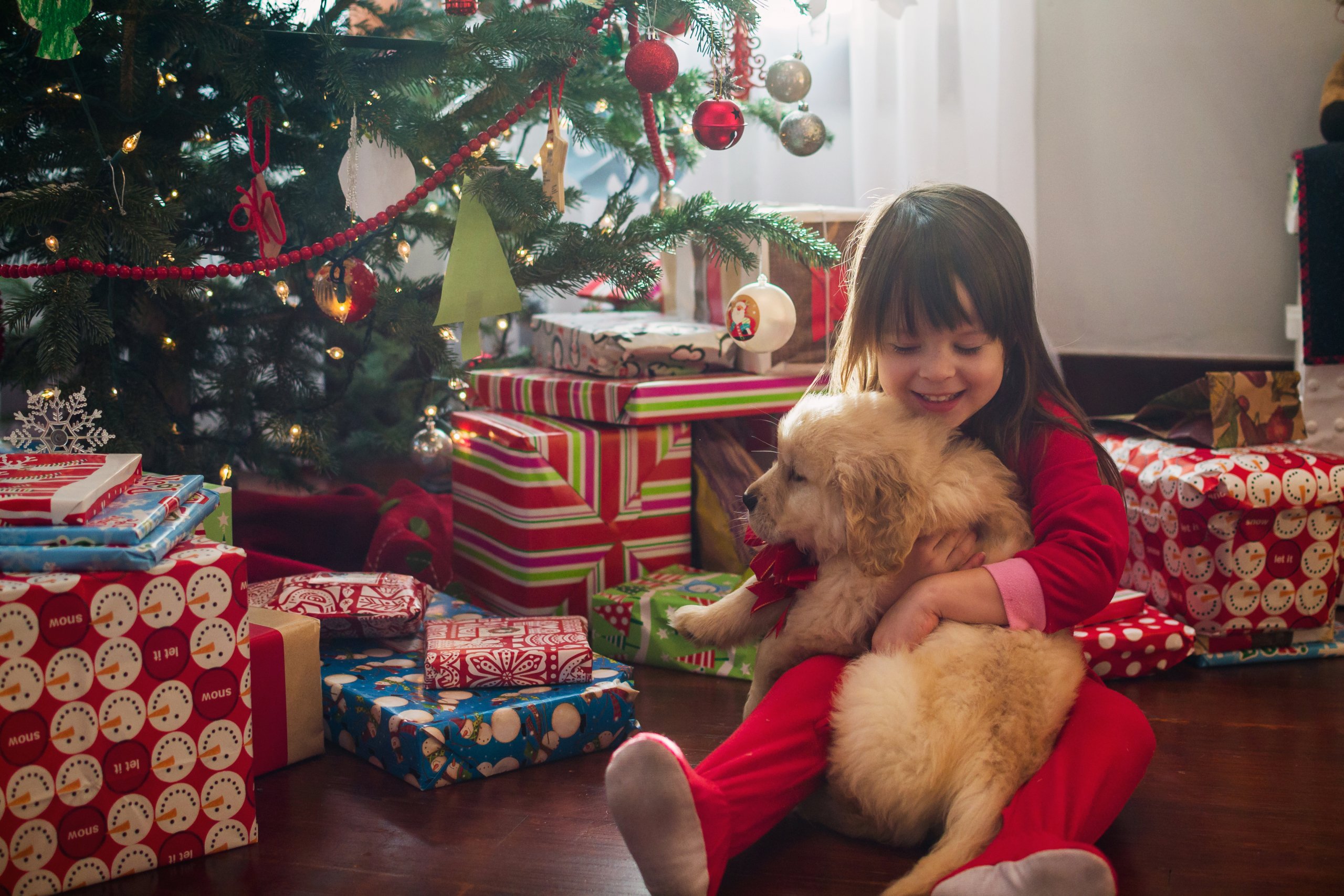 Little girl with puppy in front of Christmas tree.
