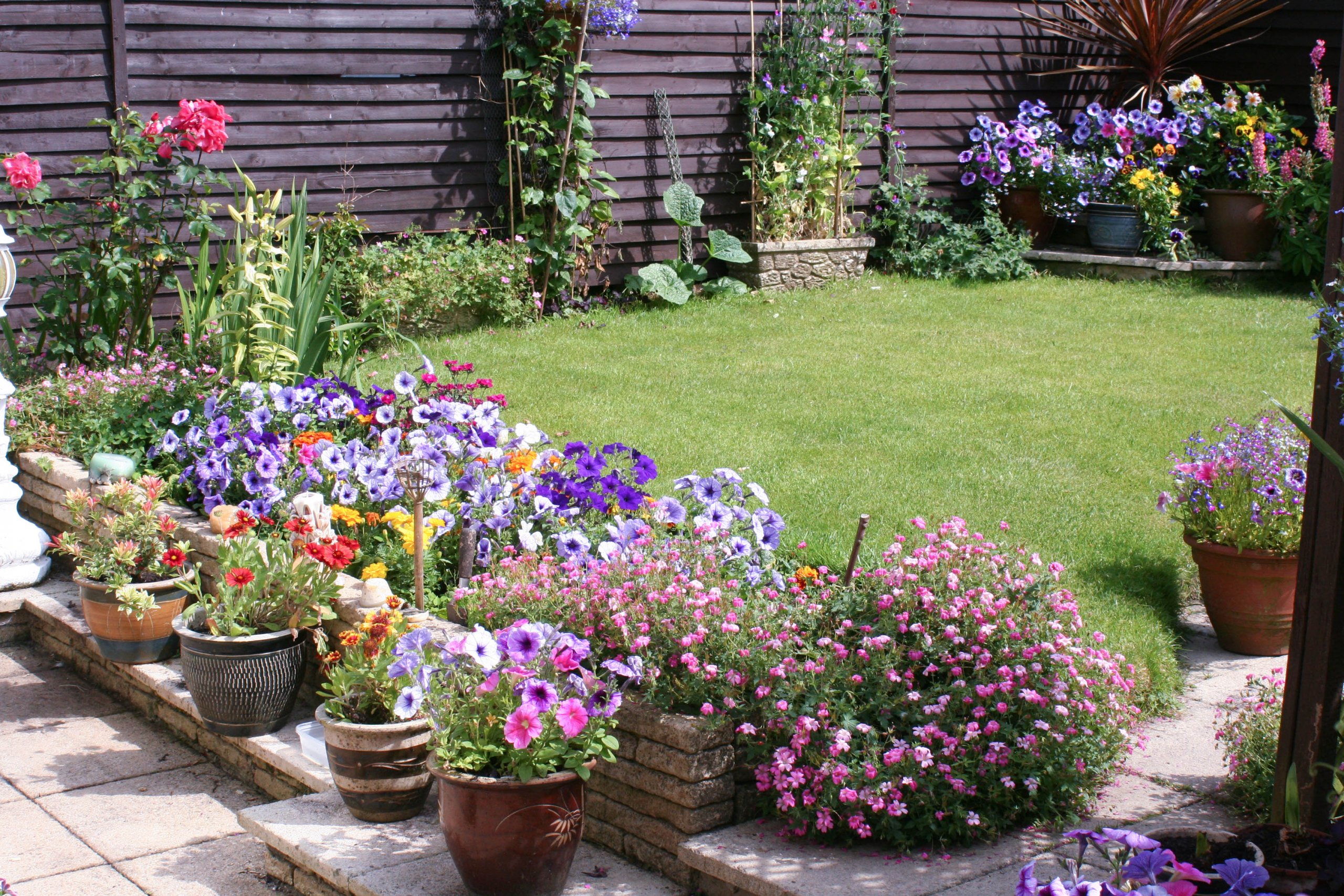 colorful potted flowers in a garden