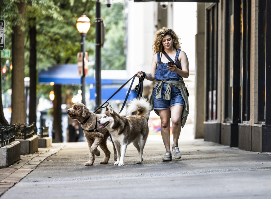 A young woman walks two dogs down the street while looking at her phone. She’s picking up gig work as a professional dog walker to make extra income.