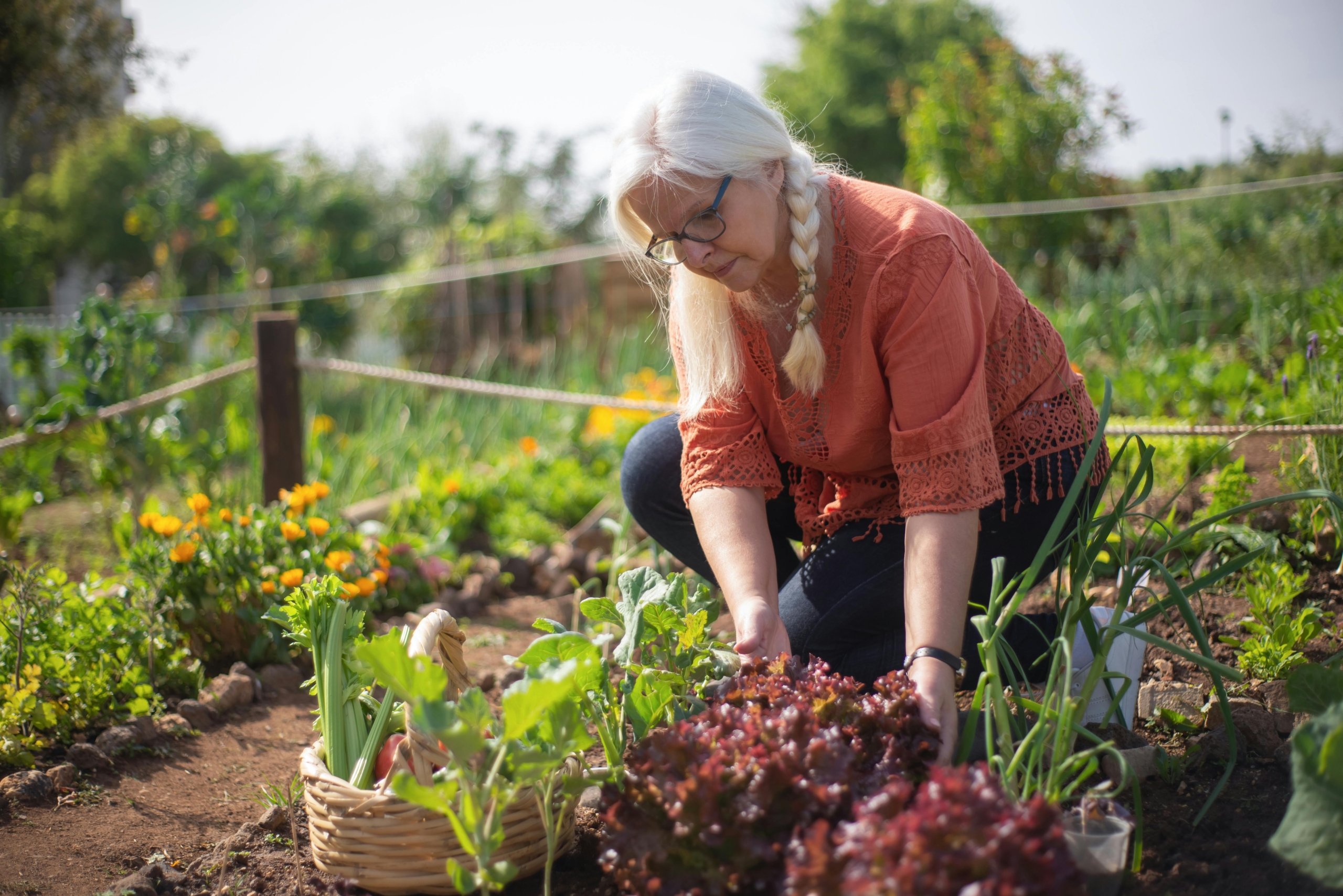 A woman kneels in her backyard garden, tending to lush and healthy plants.
