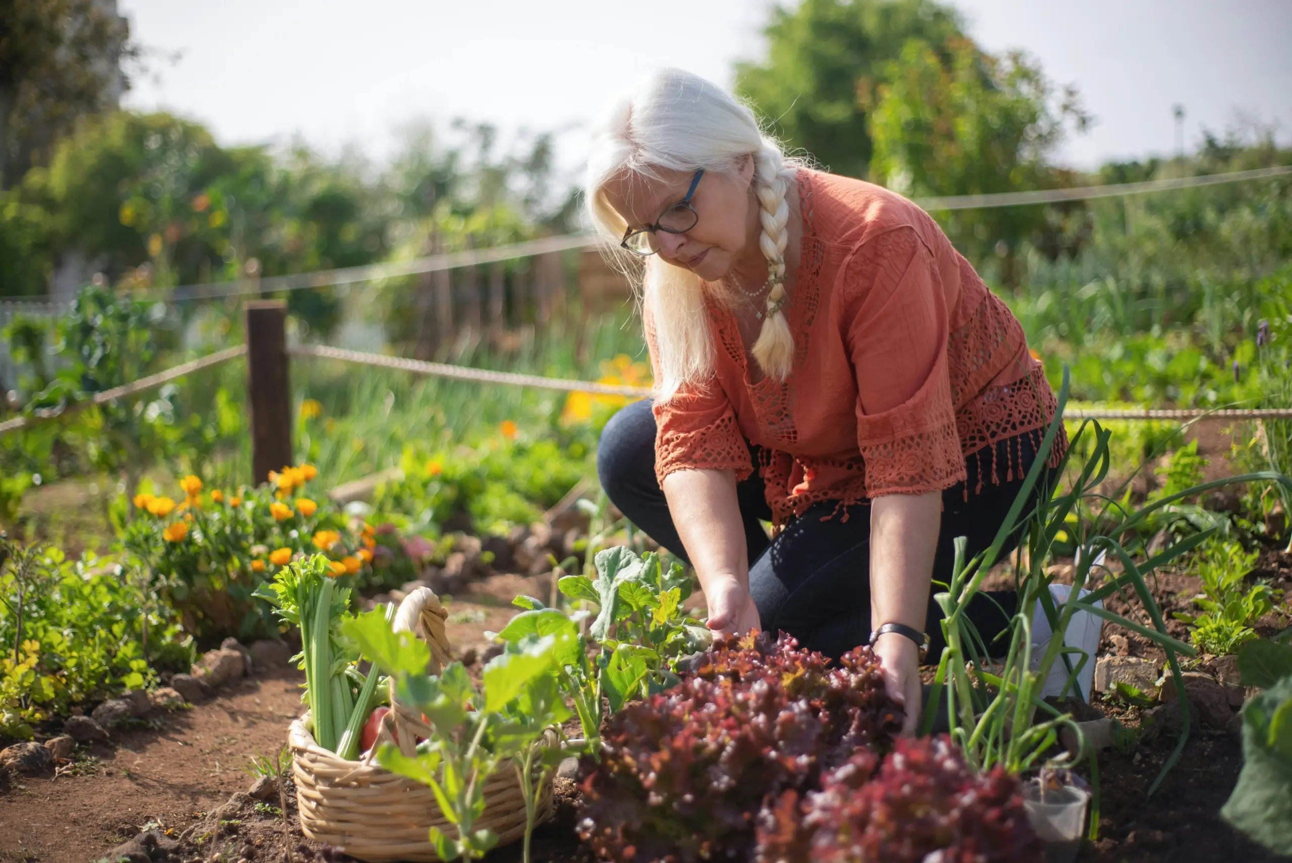 A woman kneels in her backyard garden, tending to lush and healthy plants.
