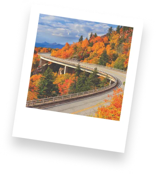 Polaroid photo of the aquaduct bridge on the Blue Ridge Parkway